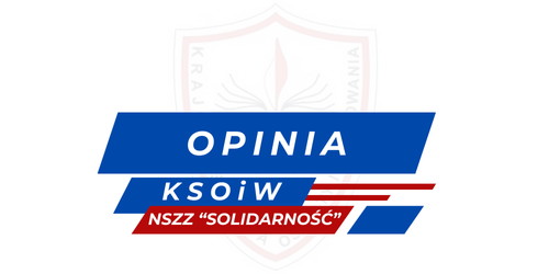Opinia w sprawie szczegółowych kwalifikacji wymaganych od nauczycieli